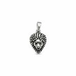 Load image into Gallery viewer, Fierce Lion Head Pendant