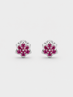 Load image into Gallery viewer, Crimson Star Earrings
