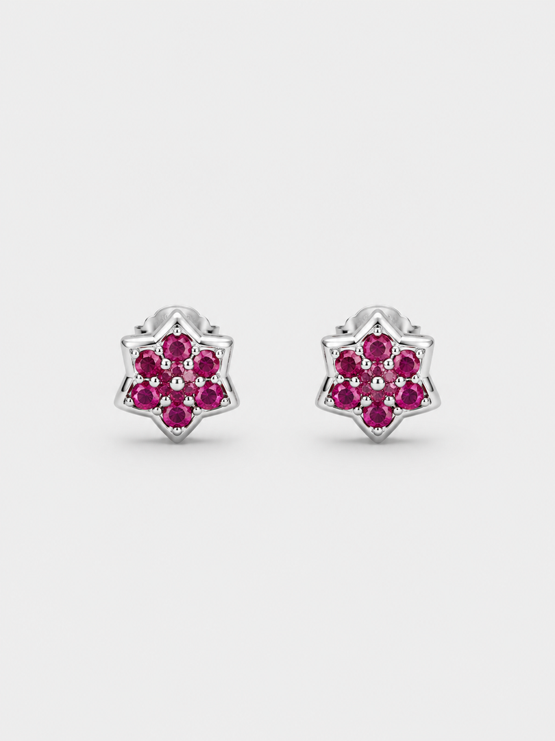 Crimson Star Earrings