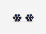 Load image into Gallery viewer, Midnight Bloom Studs