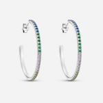 Load image into Gallery viewer, Rainbow Grace Hoop Earrings